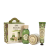 Kit Descubrimiento - Olive Bliss